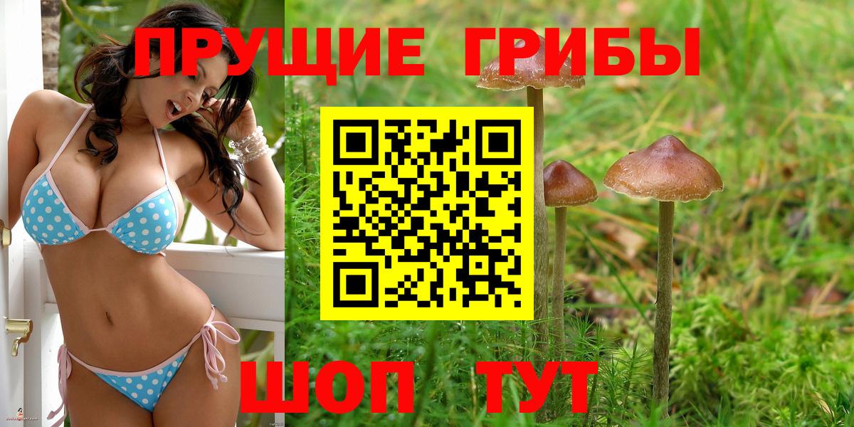 Псилоцибиновые грибы прущие грибы Майкоп
